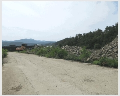  2024Ÿ1875 泲   ſ 9      (Ӿ)