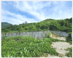  2024Ÿ��2830 �泲 ������ ���ظ� ��� 818      ����(�Ӿ�)���