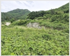  2024Ÿ��2830 �泲 ������ ���ظ� ��� 818      ����(�Ӿ�)���