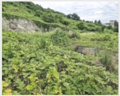  2024Ÿ��2830 �泲 ������ ���ظ� ��� 818      ����(�Ӿ�)���