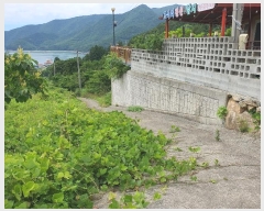  2024Ÿ��2939 �泲 ������ ���θ� ������ 50-5      ����(�Ӿ�)���