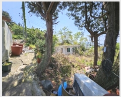  2024Ÿ��23004 �泲 ������ ���ϸ� ��ϸ� ��127      ����(�Ӿ�)���