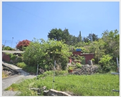  2024Ÿ��23004 �泲 ������ ���ϸ� ��ϸ� ��127      ����(�Ӿ�)���