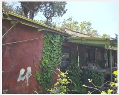  2024Ÿ��23004 �泲 ������ ���ϸ� ��ϸ� ��127      ����(�Ӿ�)���