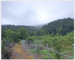  2024Ÿ��26430 �泲 �뿵�� ����� ǳȭ�� 1198-2      ����(��1)���