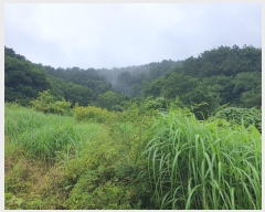  2024Ÿ��26430 �泲 �뿵�� ����� ǳȭ�� 1198-2      ����(��1)���