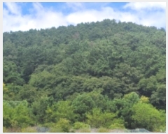  2024Ÿ��26430 �泲 �뿵�� ����� ǳȭ�� 1198-2      ����(��1)���