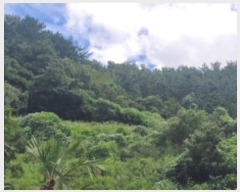  2024Ÿ��26430 �泲 �뿵�� ����� ǳȭ�� 1198-2      ����(��1)���