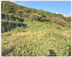  2024Ÿ31289 泲    500      (Ӿ)