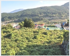  2024Ÿ31289 泲    500      (Ӿ)