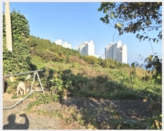  2024Ÿ31289 泲    500      (Ӿ)