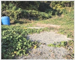  2024Ÿ31289 泲    500      (Ӿ)