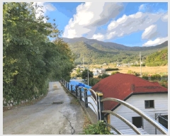  2024Ÿ31364 泲  θ ٴ븮 350      ð