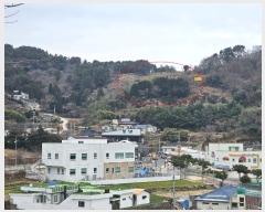  2024Ÿ��33216  �����