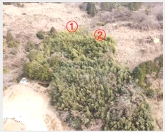  2024Ÿ��33216  �����