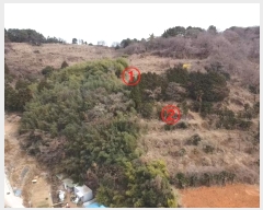  2024Ÿ��33216  �����