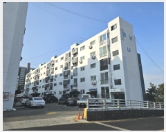  2024Ÿ��33216  �����