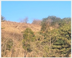  2024Ÿ��33216  �����