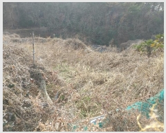  2024Ÿ��551 �泲 �뿵�� ����� ��ȭ�� 159      ���(�󰡽ü�)���