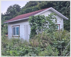  2024Ÿ��4447 �泲 ������ ���ظ� ���¸� 1093      ���ð��