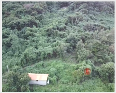  2024Ÿ��4447 �泲 ������ ���ظ� ���¸� 1093      ���ð��