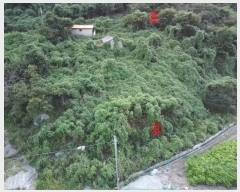  2024Ÿ��4447 �泲 ������ ���ظ� ���¸� 1093      ���ð��