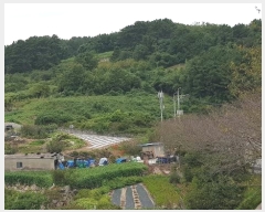  2024Ÿ4607 泲 뿵   419      (1)