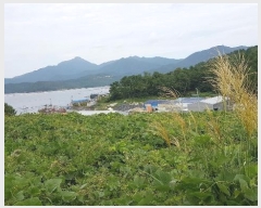  2024Ÿ4607 泲 뿵   419      (1)