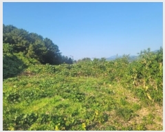  2024Ÿ4607 泲 뿵   419      (1)