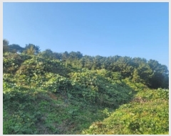  2024Ÿ4607 泲 뿵   419      (1)