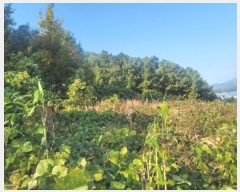  2024Ÿ4607 泲 뿵   419      (1)