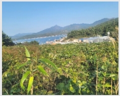  2024Ÿ4607 泲 뿵   419      (1)