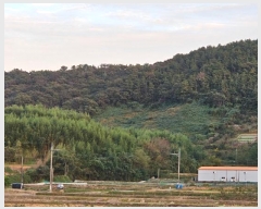  2024Ÿ��4867 �泲 ������ ���� �������� ��3-5      ����(������)���