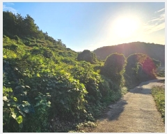  2024Ÿ��4867 �泲 ������ ���� �������� ��3-5      ����(������)���