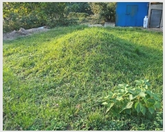  2024Ÿ��4867 �泲 ������ ���� �������� ��3-5      ����(������)���