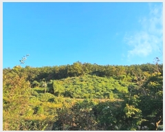  2024Ÿ��4867 �泲 ������ ���� �������� ��3-5      ����(������)���