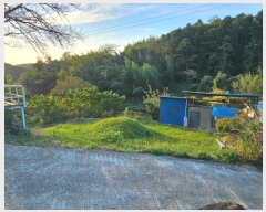  2024Ÿ��4867 �泲 ������ ���� �������� ��3-5      ����(������)���