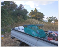  2024Ÿ��5204  ���������