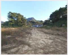  2024Ÿ��5204  ���������