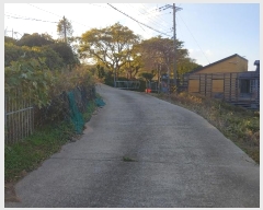  2024Ÿ��5204  ���������