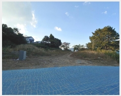  2024Ÿ��5204  ���������