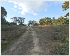  2024Ÿ��5204  ���������