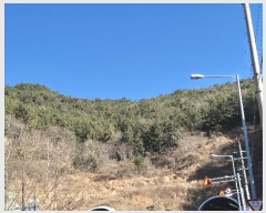  2024Ÿ��5440 �泲 ������ ������ ��61       ����(�Ӿ�)���