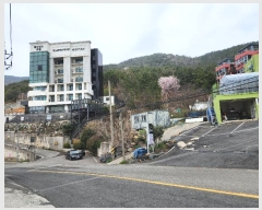  2024Ÿ��22803  ���ڽü����