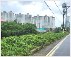  2024Ÿ27891 泲  ֵ 1201-44       (Ӿ)