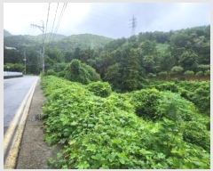  2024Ÿ27891 泲  ֵ 1201-44       (Ӿ)