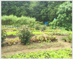  2024Ÿ27891 泲  ֵ 1201-44       (Ӿ)