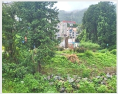  2024Ÿ27891 泲  ֵ 1201-44       (Ӿ)