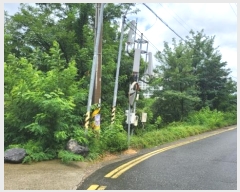  2024Ÿ27891 泲  ֵ 1201-44       (Ӿ)