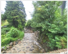  2024Ÿ27891 泲  ֵ 1201-44       (Ӿ)